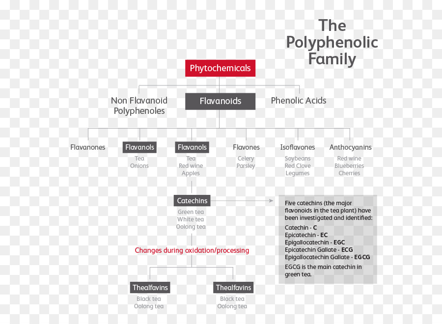 Infographic，الصحة PNG