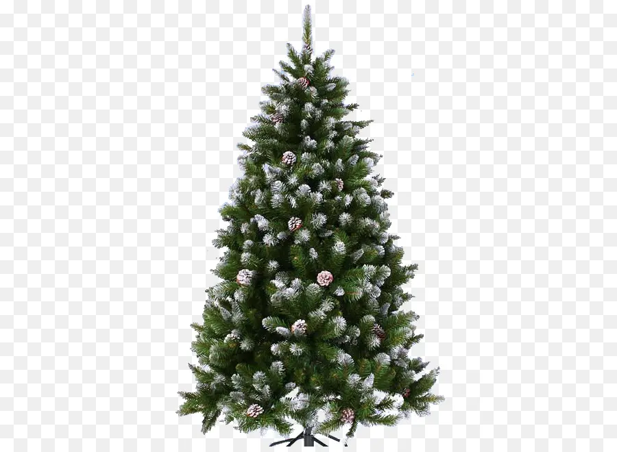 شجرة السنة الجديدة，شجرة التنوب PNG