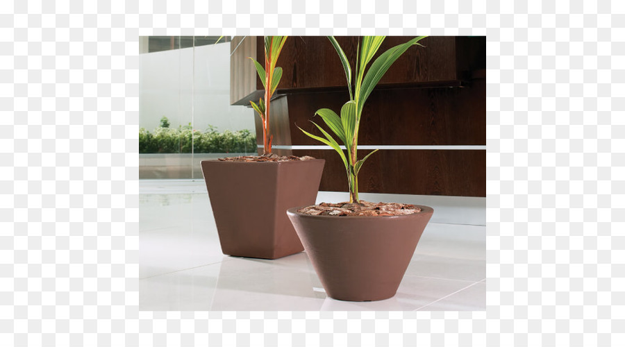 ل Houseplant，زهور PNG