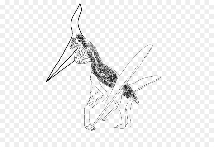 Pteranodon，الرسم PNG