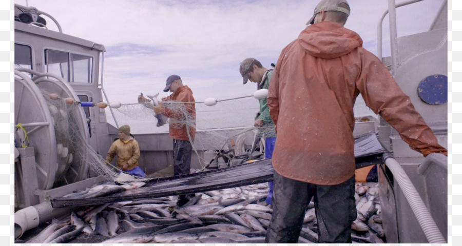ألاسكا，صيد سمك السلمون في ألاسكا PNG