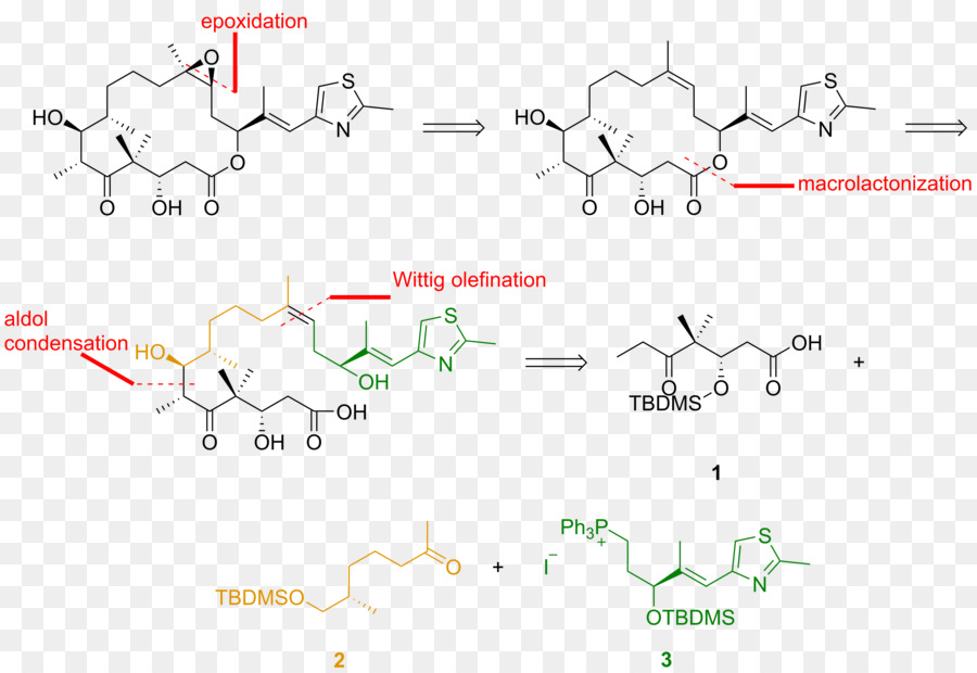 Epothilone，والدوائية تحليل PNG