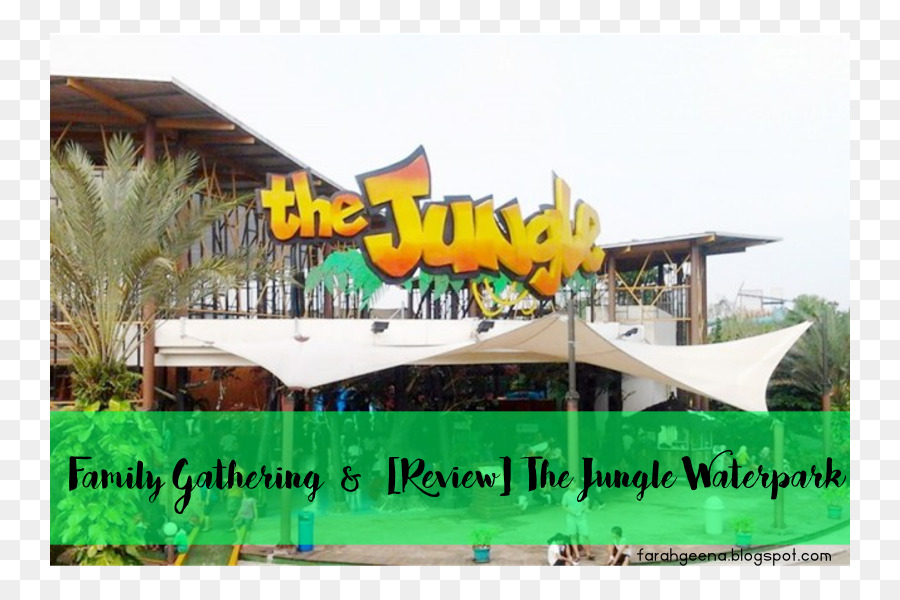 الغابة مغامرة المياه，Jungle Waterpark PNG