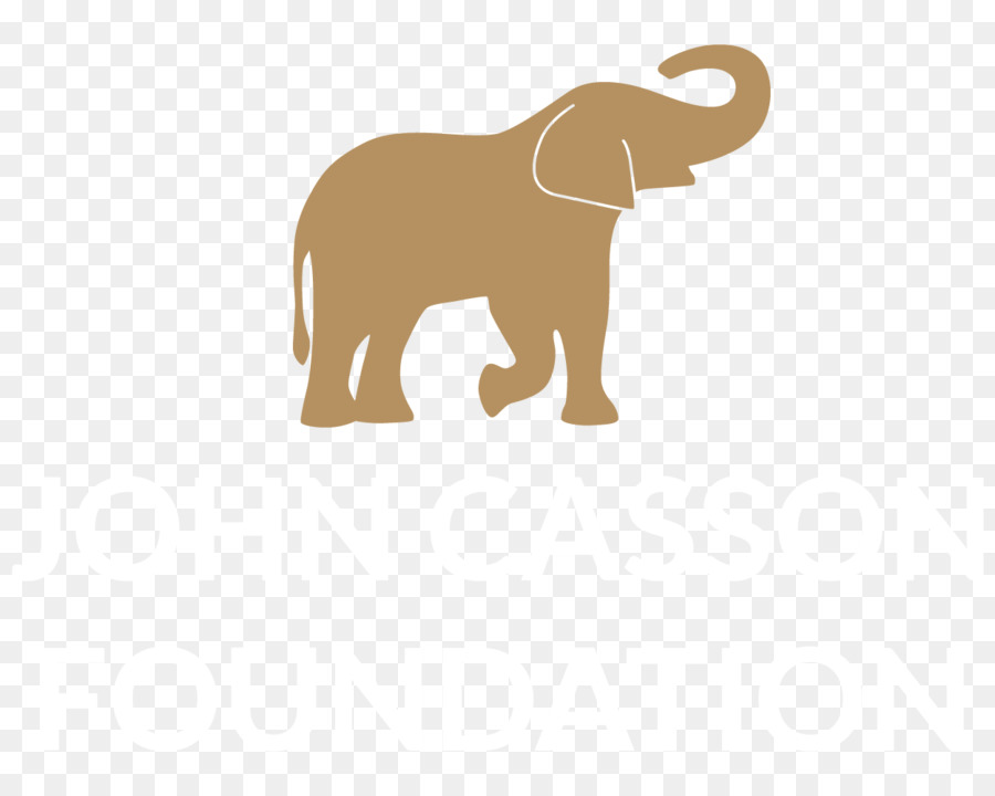 الفيل الهندي，الفيل الأفريقي PNG