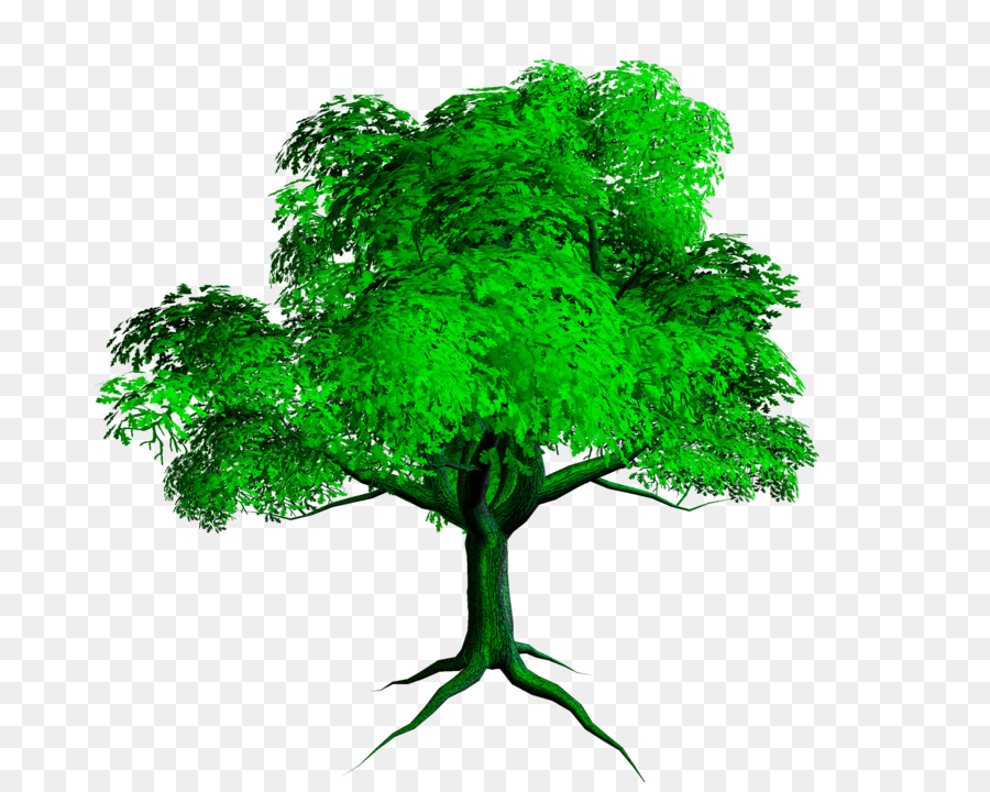شجرة，التحرير PNG