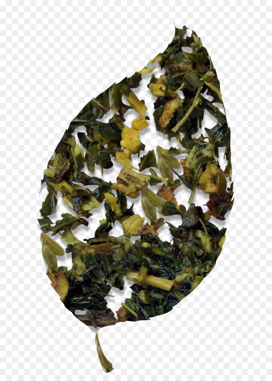 Tieguanyin，ورقة نباتية PNG