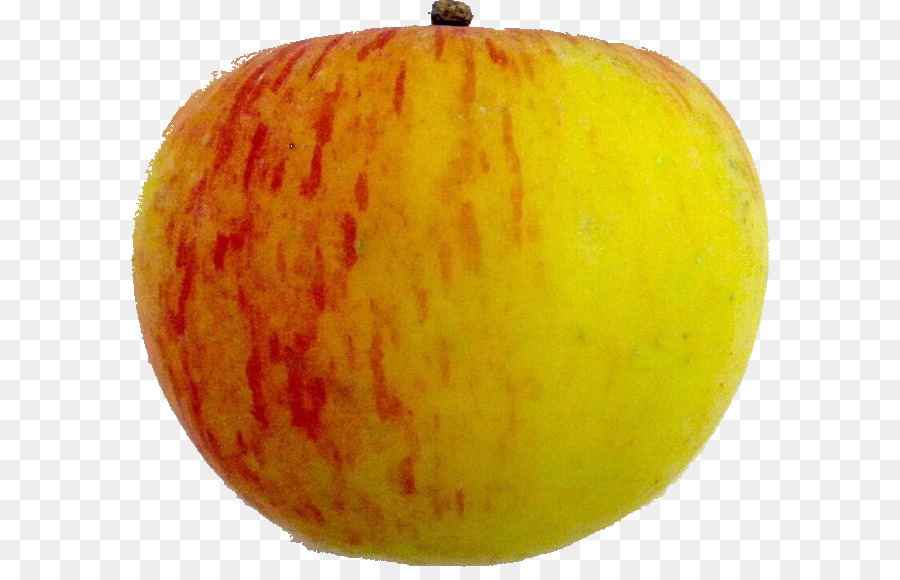 القرع，الفاكهة PNG