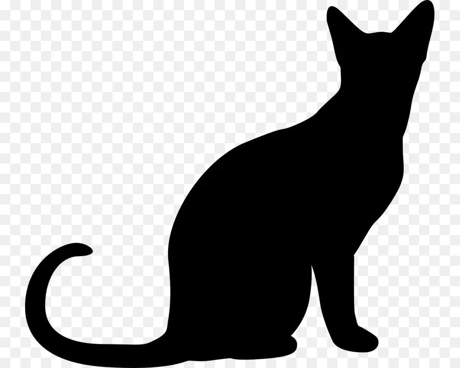 القط，صورة ظلية ، PNG