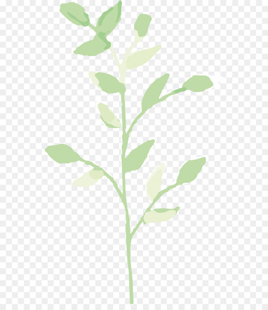 غصين，الجذعية النباتية PNG