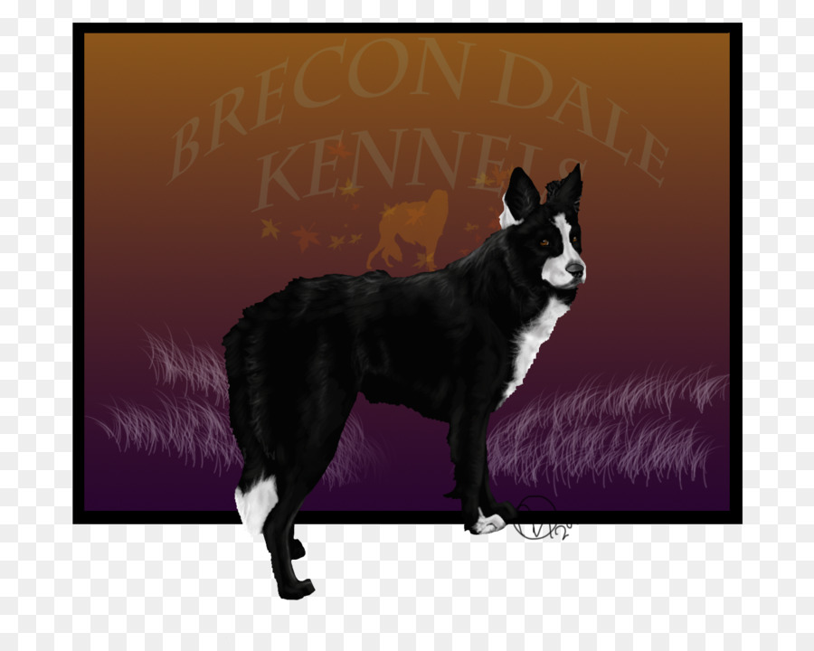 الكلب تولد，Schipperke PNG