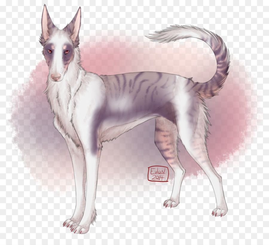 Seppala سيبيريا Sleddog，Saarloos وولفدوج PNG