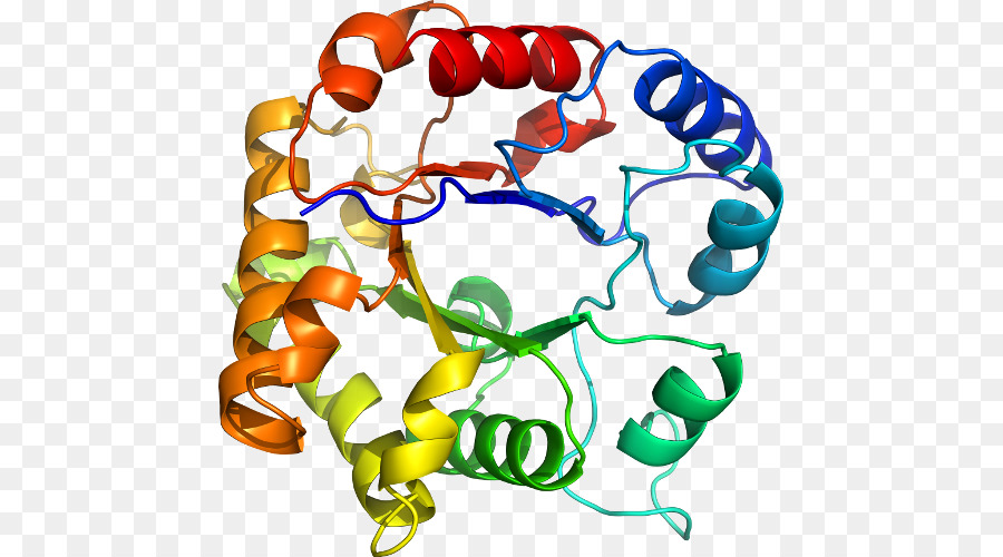 هيكل البروتين，علم الأحياء PNG