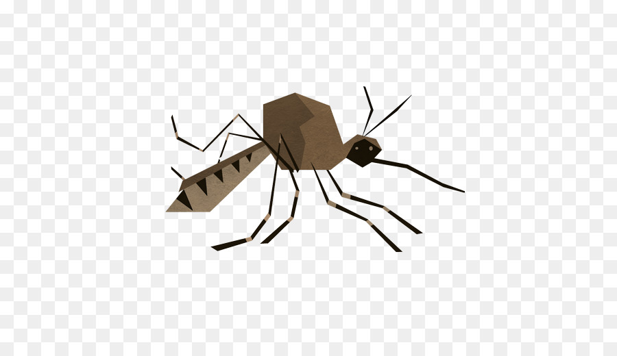 البعوض，الحشرات PNG
