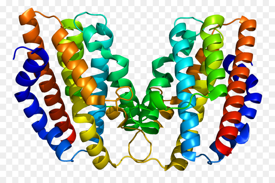 Hmox1，الهيم Oxygenase PNG