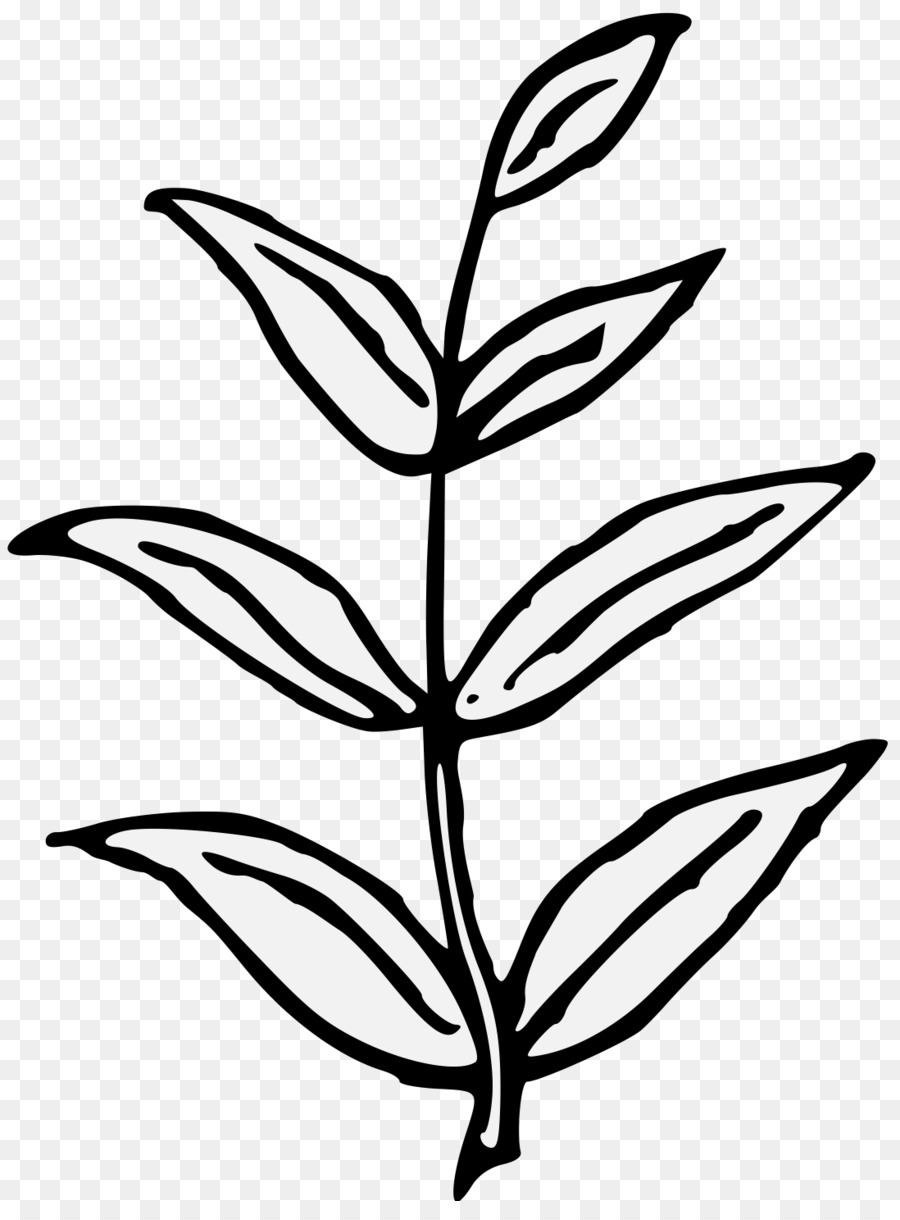فرع，الجذعية النباتية PNG