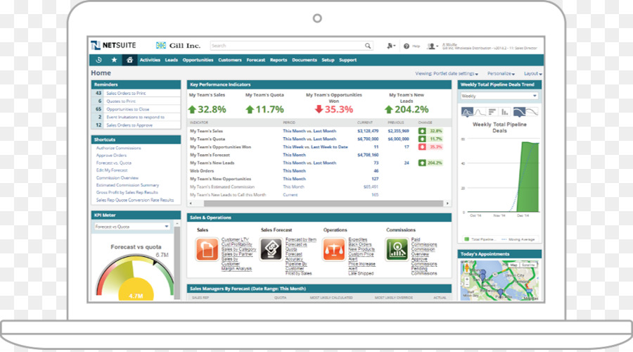 Netsuite，تخطيط موارد المؤسسة PNG