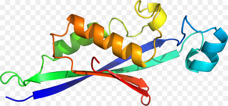 بروتين هيليكس，جزيء PNG