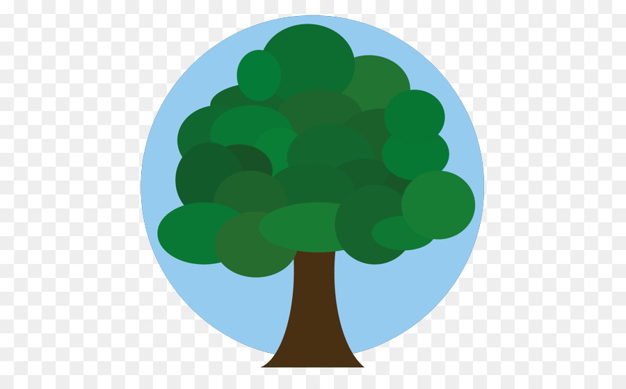 الأخضر，شجرة PNG