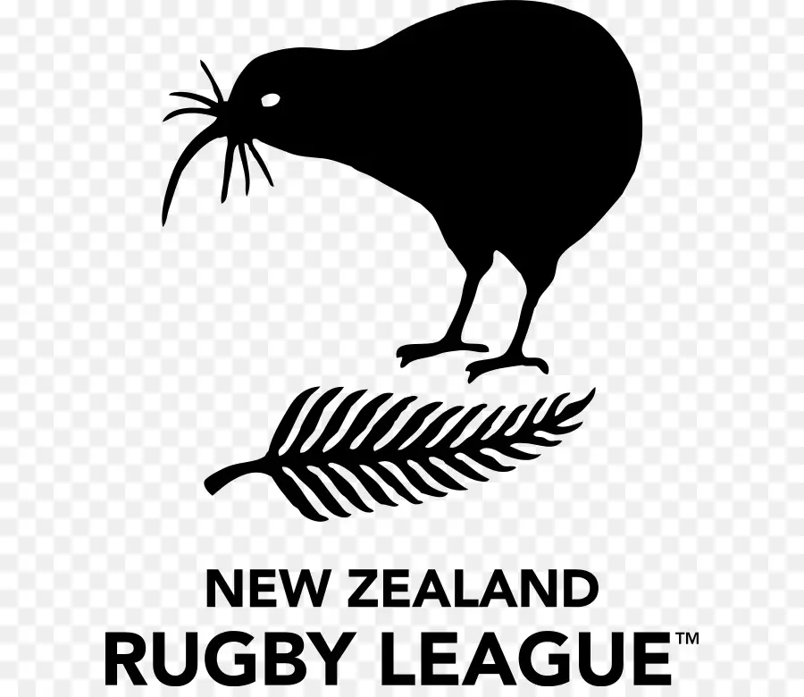 نيوزيلندا الوطنية للرجبي فريق في الدوري，نيوزيلندا الوطنية الرجبي الاتحاد فريق PNG