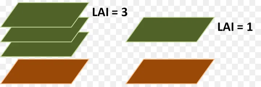 دليل مساحة الورقة，ورقة PNG