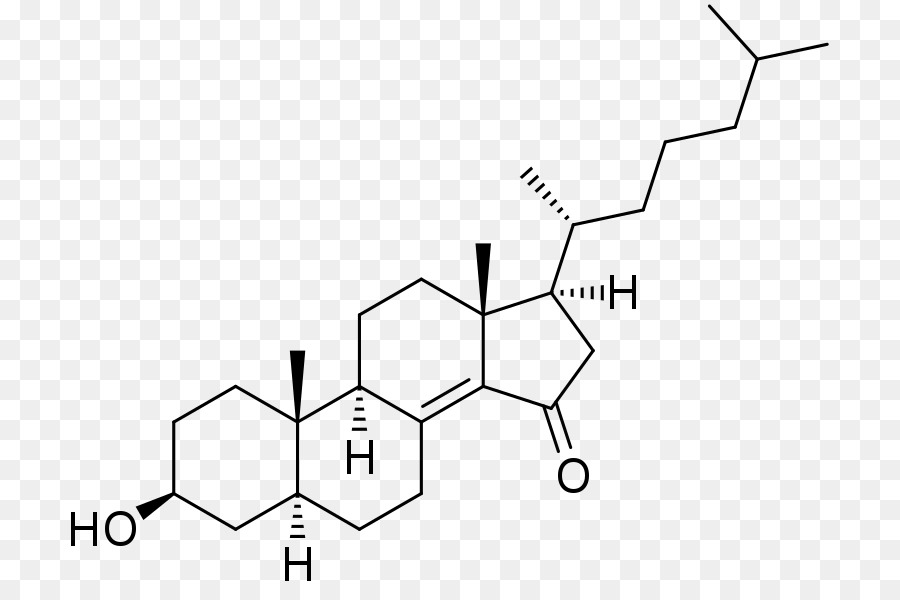 الحرب الصامتة في الكيمياء الحيوية البحوث القانونية على الفطريات الطفيلية，3ßhydroxysteroid نازعة PNG