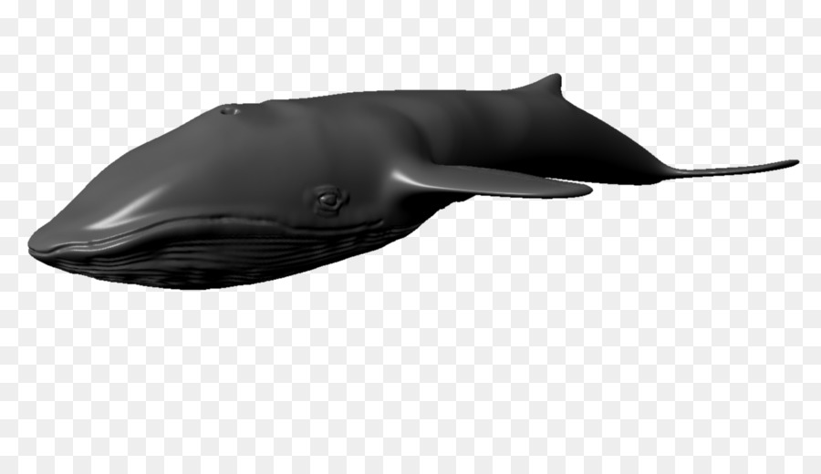 دولفين，سمك القرش PNG