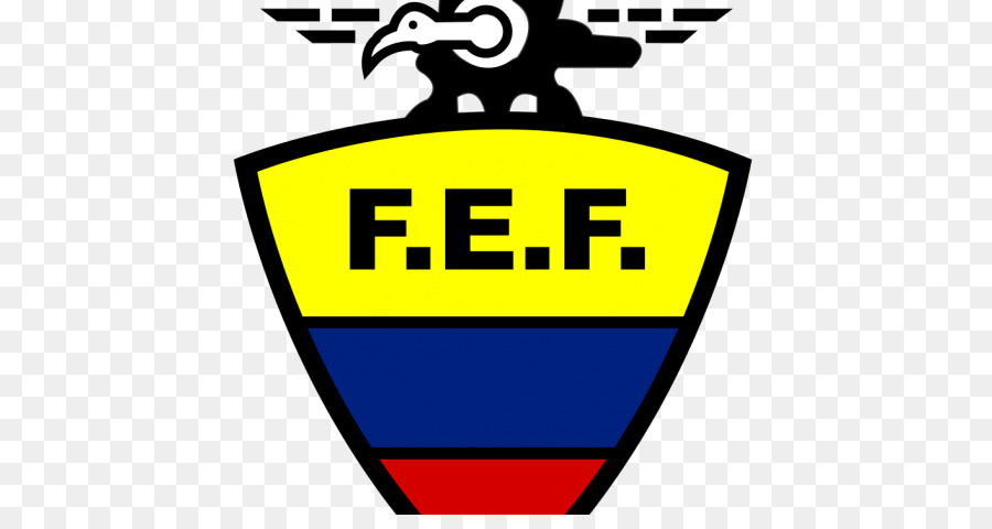 الإكوادور المنتخب الوطني لكرة القدم，إكوادور PNG