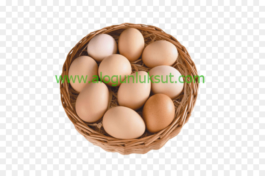 البيض，براهما الدجاج PNG