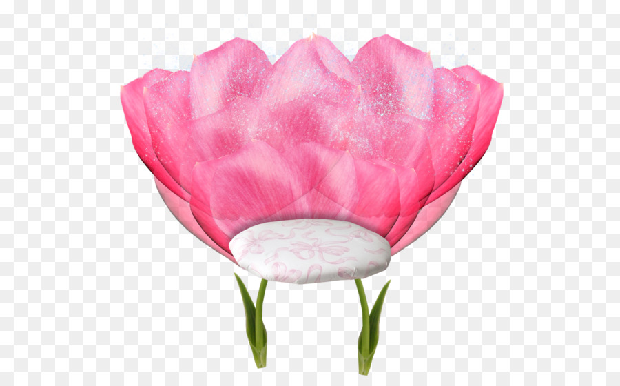 وردة الملفوف，الورود حديقة PNG
