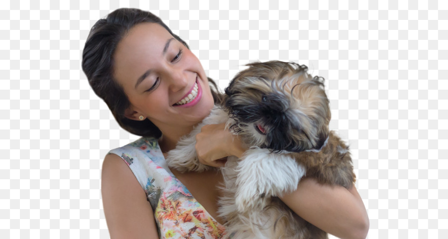 Schnoodle，شيه تزو PNG