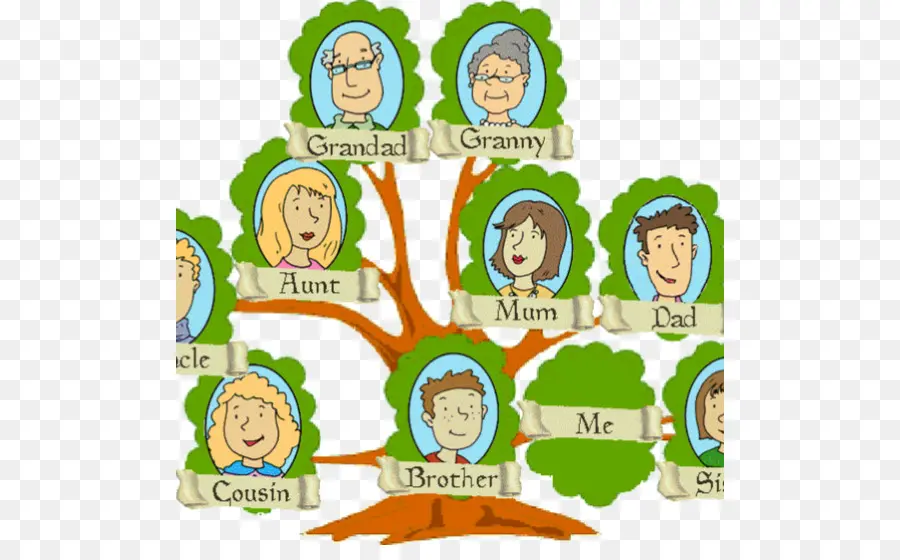 شجرة العائلة，الأنساب PNG