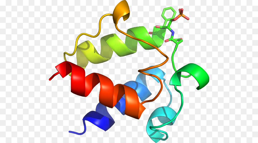 هيكل البروتين，علم الأحياء PNG