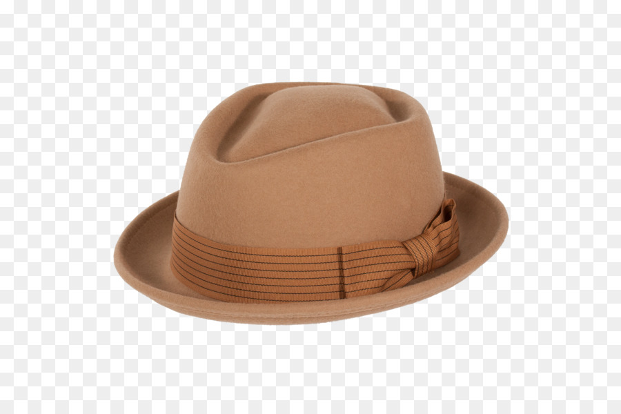 فيدورا，ليفين قبعة Co PNG