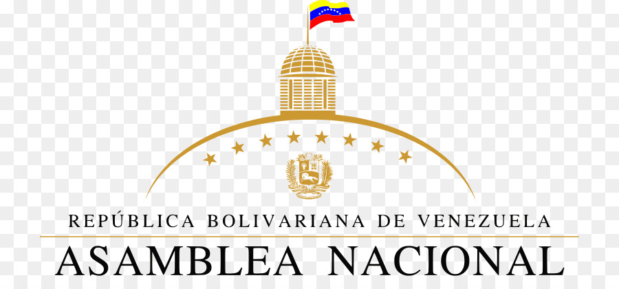 فنزويلا，الجمعية الوطنية لفنزويلا PNG