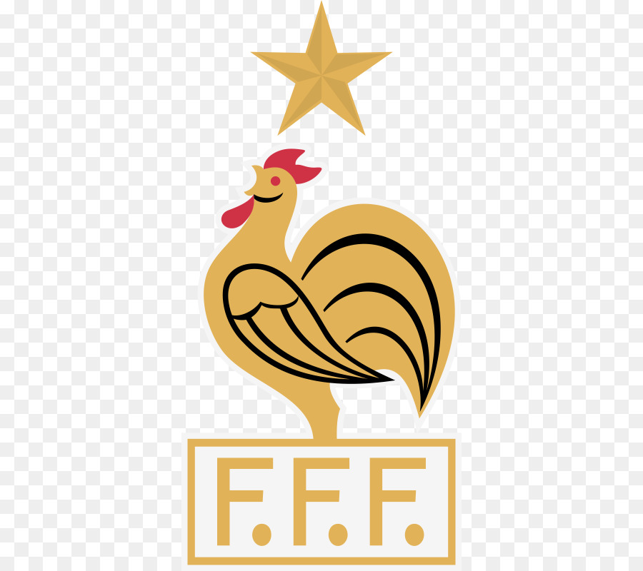 فرنسا الوطني لكرة القدم，2006 نهائي كأس العالم لكرة القدم PNG