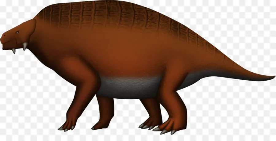 Scutosaurus，باراريبيليا PNG