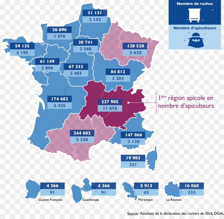 فرنسا，Apiculture En France PNG