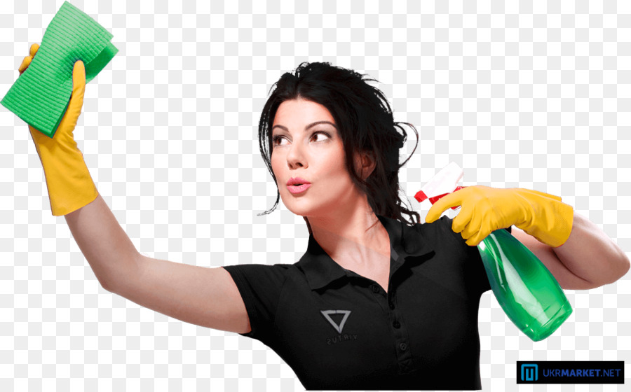 خدمة الخادمة，التنظيف PNG