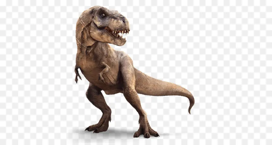 ريكس，ديناصور PNG