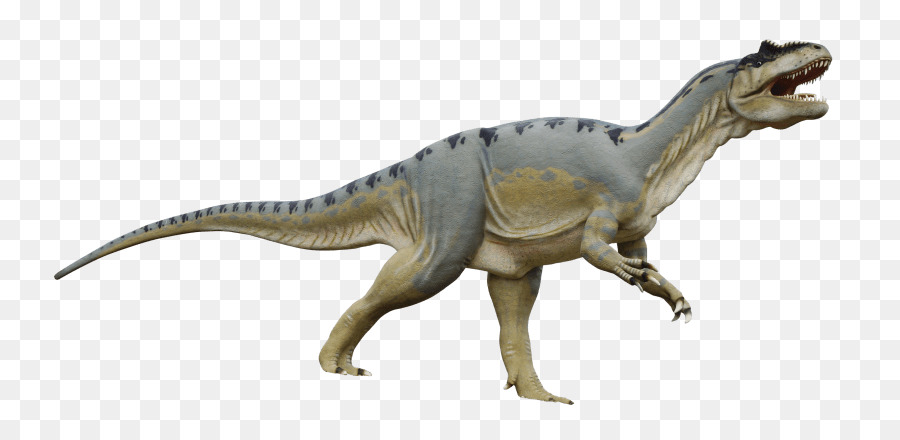 Tyrannosaurus，Triceratops PNG