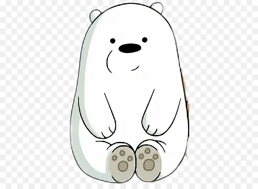 الدب，الباندا العملاقة PNG