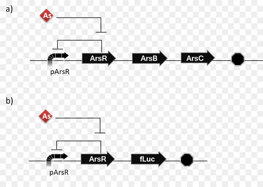 Ars عملية，عملية PNG