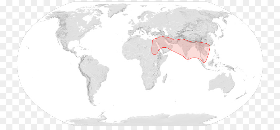 جواز السفر，جواز سفر باكستاني PNG