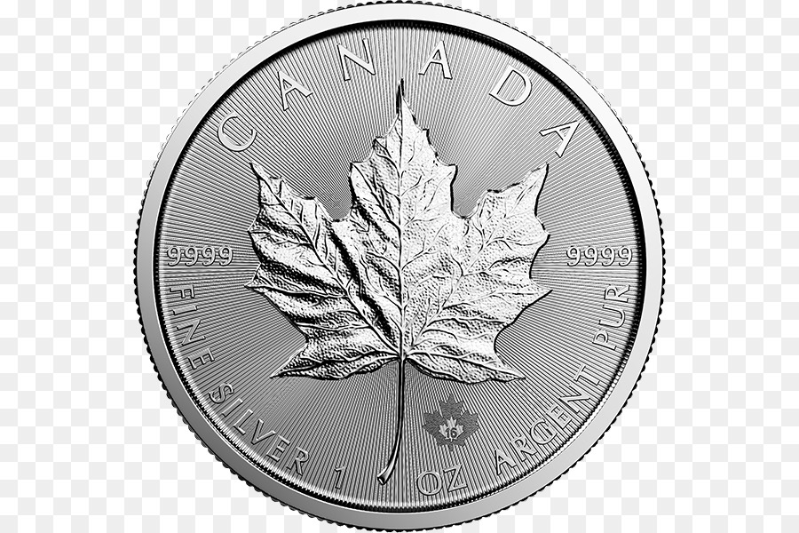 كندا，الكندي الفضة ورقة القيقب PNG