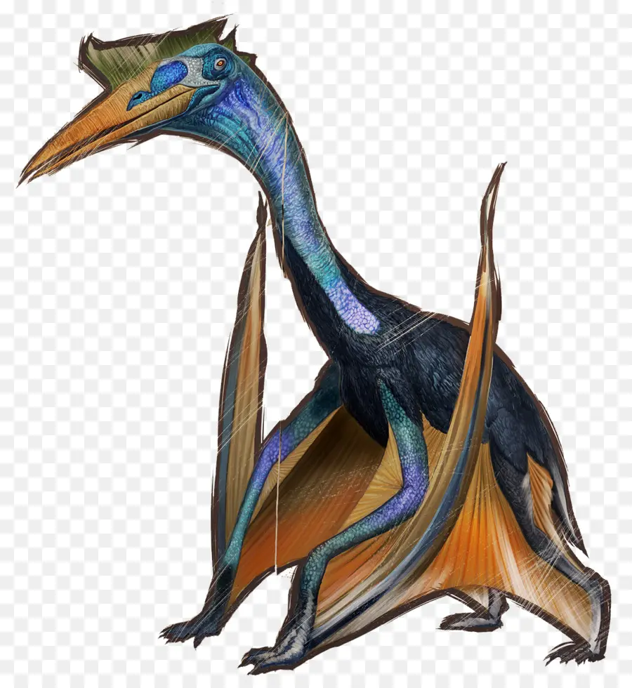 Quetzalcoatlus，تطورت بقاء التابوت PNG
