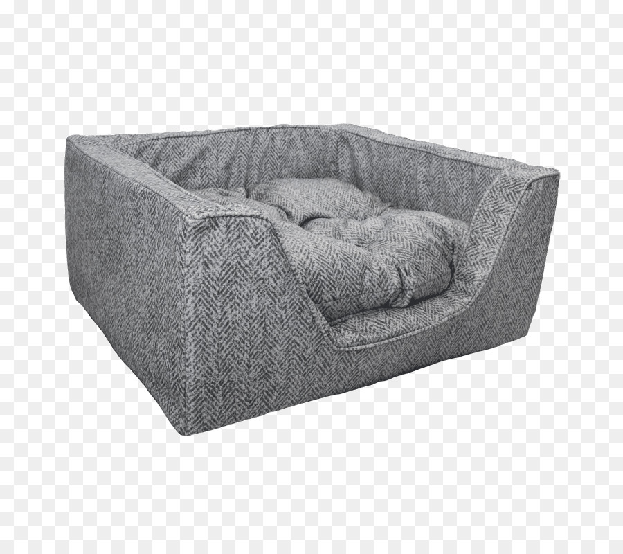 الأريكة，الكلب PNG