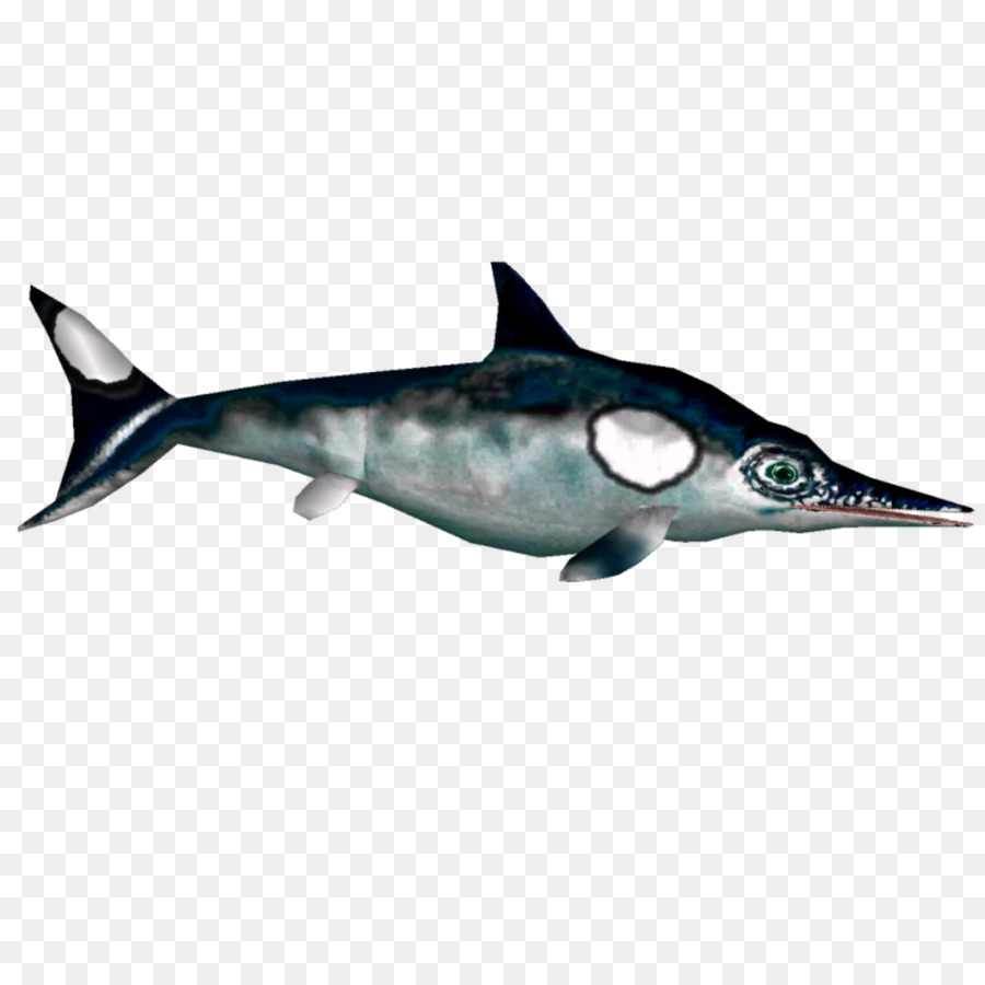 الدلفين Roughedoothed，سمك القرش PNG