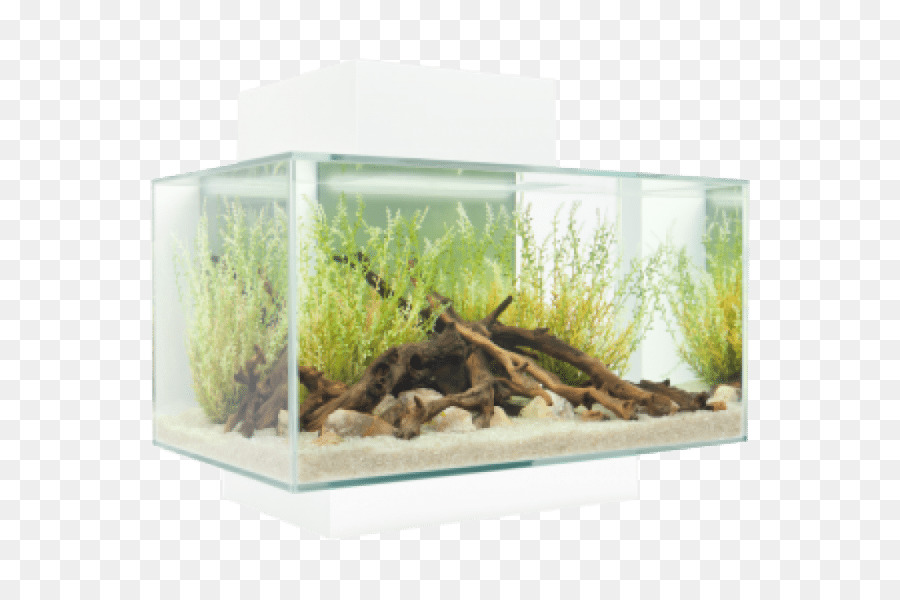 Fluval الحافة，Lightemitting ديود PNG