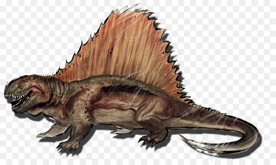ديناصور，الفلك البقاء على قيد الحياة تطورت PNG