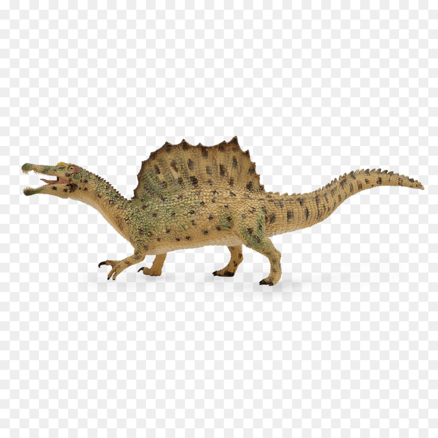 سبينوصور，كارشاراودوتوسورس PNG